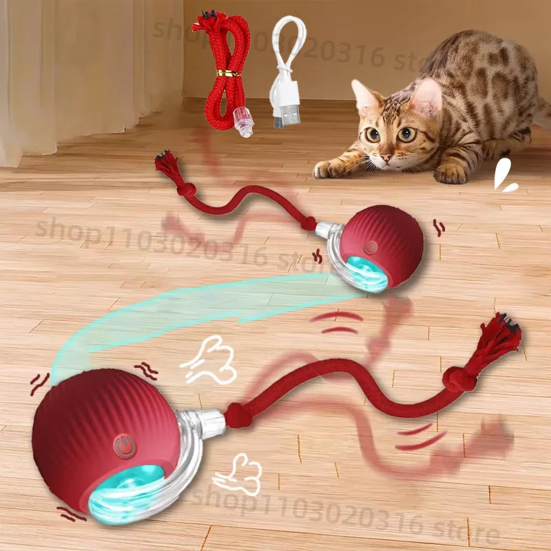 3-Way Collapsible Cat Tunnel Toy – Interactive Play Tube for Cats
