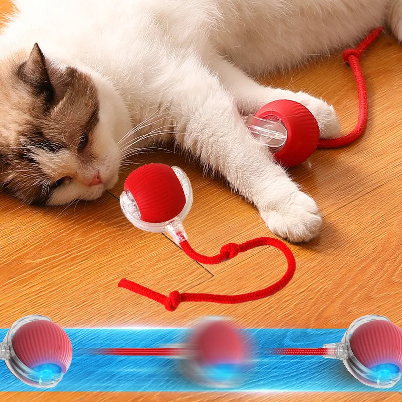 3-Way Collapsible Cat Tunnel Toy – Interactive Play Tube for Cats
