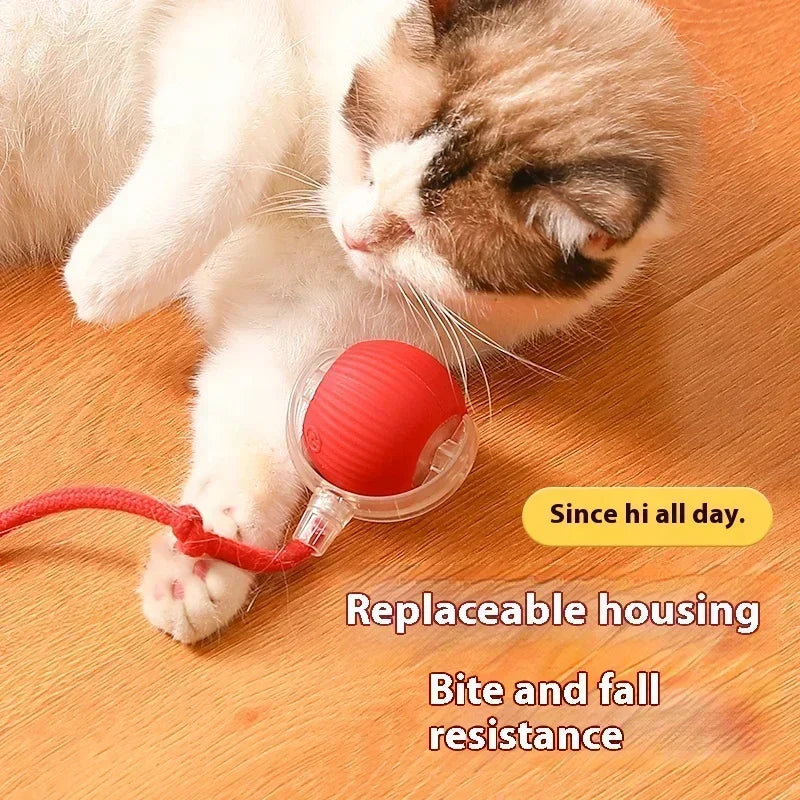 3-Way Collapsible Cat Tunnel Toy – Interactive Play Tube for Cats
